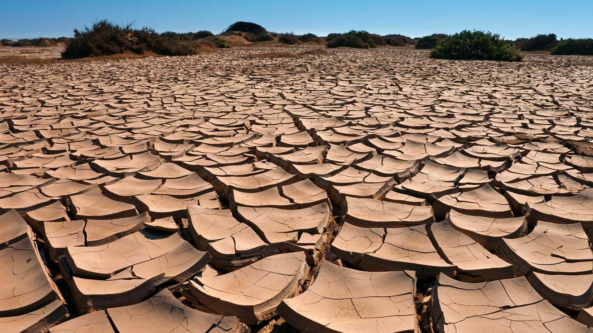 KÜRESEL İKLİM KRİZİ